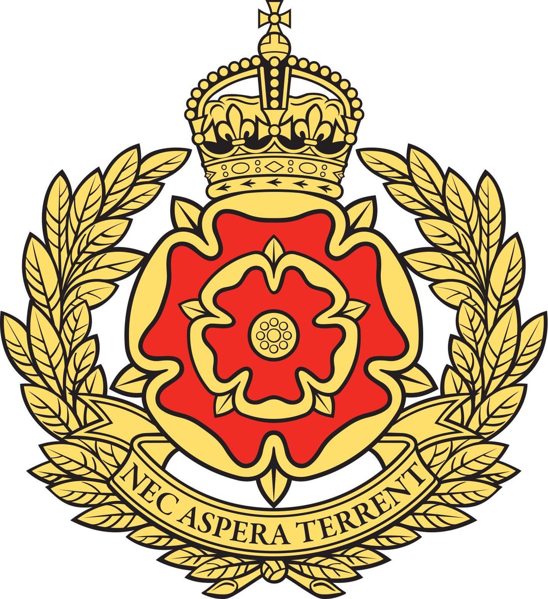 Following the sad and sudden loss of our Regt Secretary, Col Chris Owen, the Trustees have agreed that Col Andrew Dennis will assume the role of Interim Regt Secretary, on a part-time basis, from 19 Feb 2024. Nec Aspera Terrent #lionsofengland #Kingsman #infantry