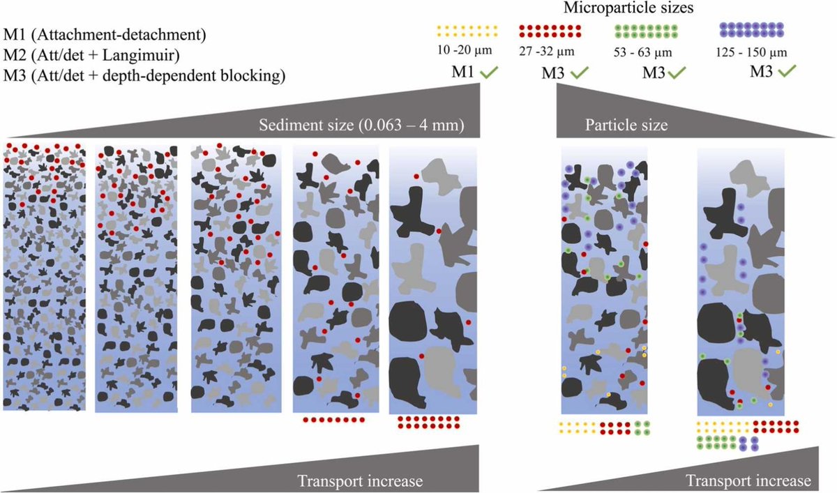 🌏New paper alert🌍 

Lab experiments and modelling investigates how #microplastics are transported in the deep layers of #soil.  Check out more below 👇sciencedirect.com/science/articl…

<a href="/Wwang_LI/">Wang Li</a> @ChristineStumpp <a href="/SoPhy_BOKU/">SoPhy BOKU</a>
#HYDRUS1D #groundwater #plastic #MSCA