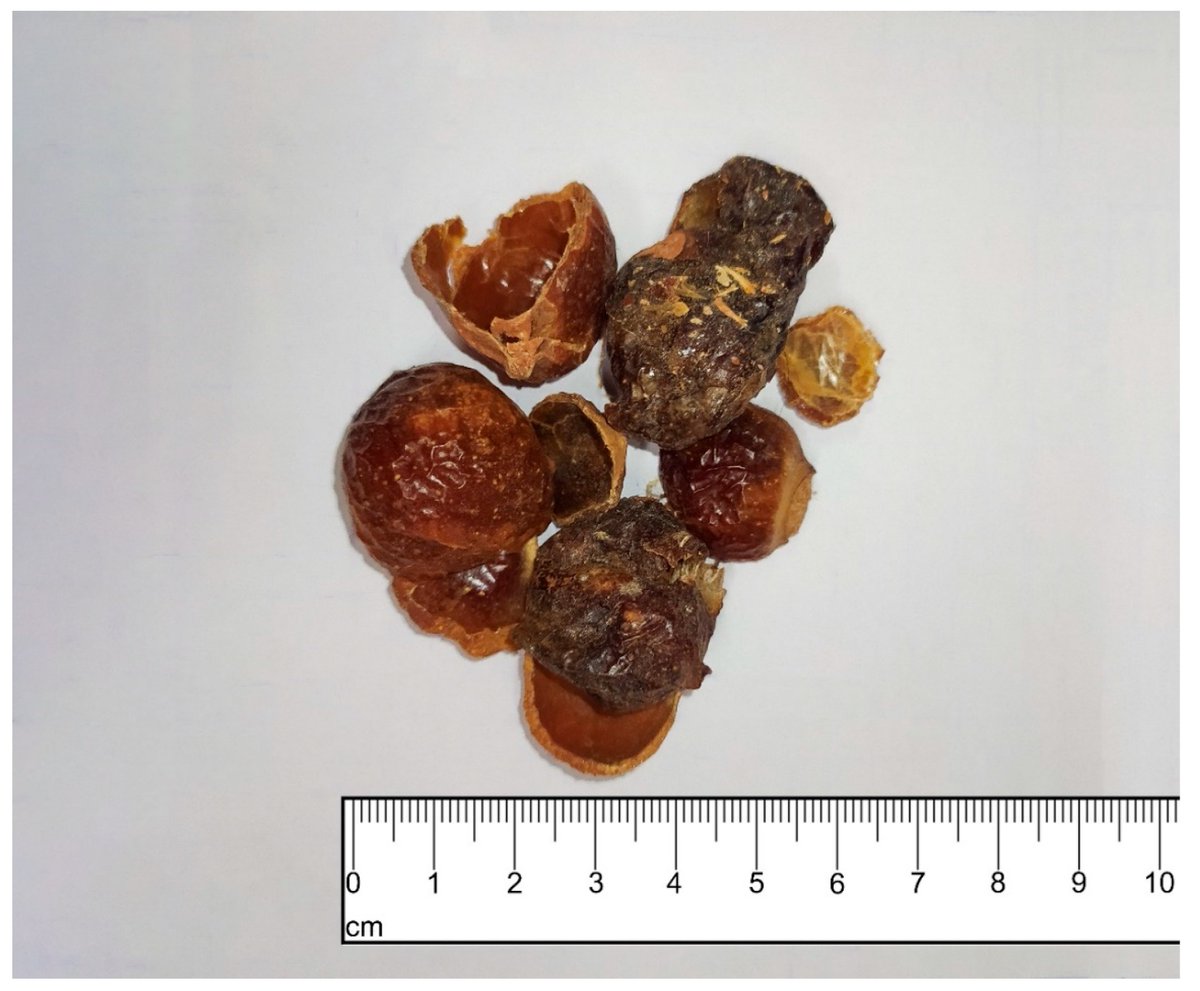 Plants_MDPI's tweet image. Editor's Choice Article #plants_mdpi

"Triterpenoid Saponins from Washnut (Sapindus mukorossi Gaertn.)—A Source of Natural Surfactants and Other Active Components"

👉mdpi.com/2223-7747/11/1…

Published: 9 September 2022
Views: 3955
Citation: 12

#washnut #surfactants #bioactive