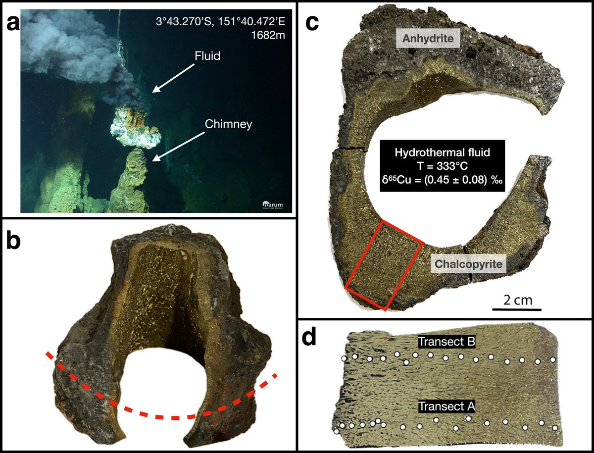 DesireeRrdnk's tweet photo. Another paper published! 🎉

We show that Cu isotope ratios from hydrothermal vent fluids can be recorded in paired hydrothermal chimneys - but only in the very innermost conduit, as alteration of chalcopyrite by intruding seawater shifts Cu isotope ratios to higher values. https://t.co/4ry1AojuUI