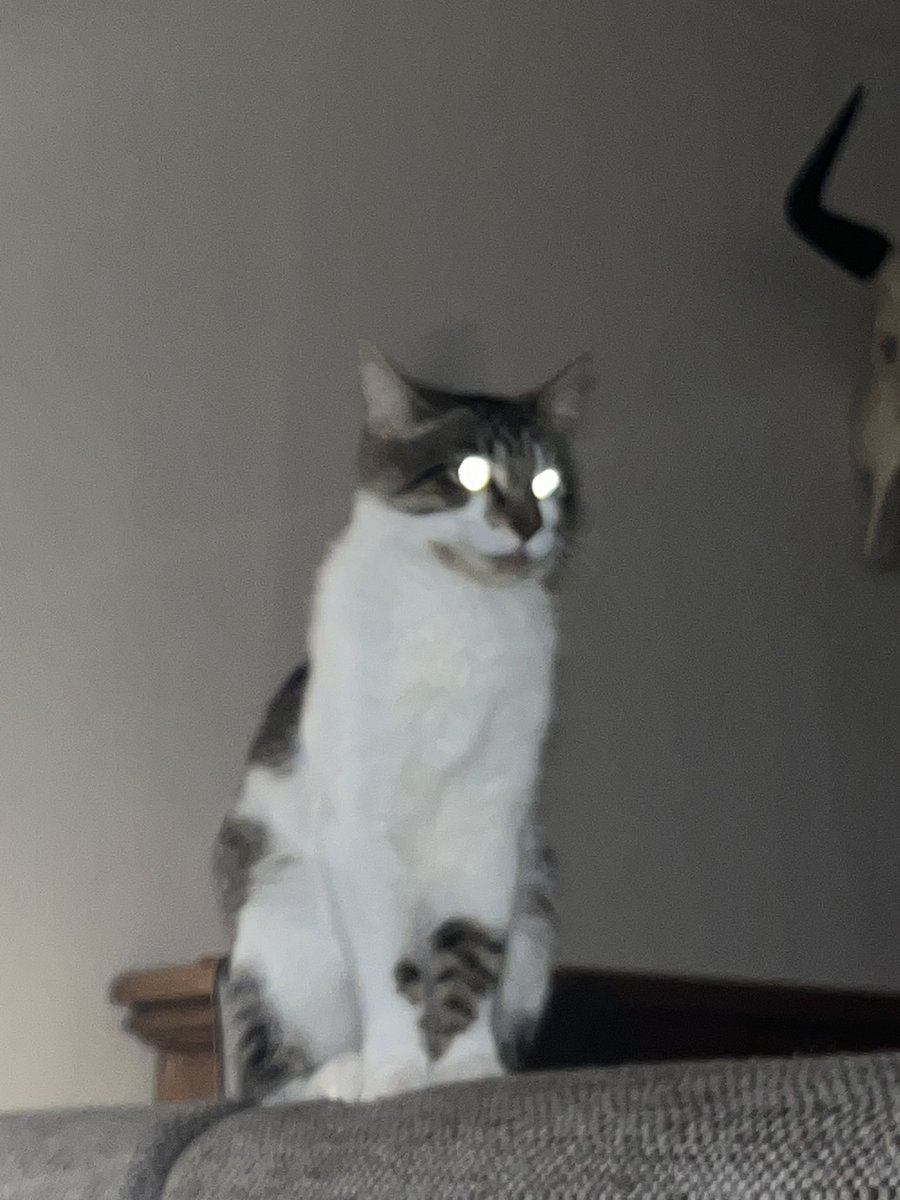 calista (@skulinao_o) on Twitter photo 