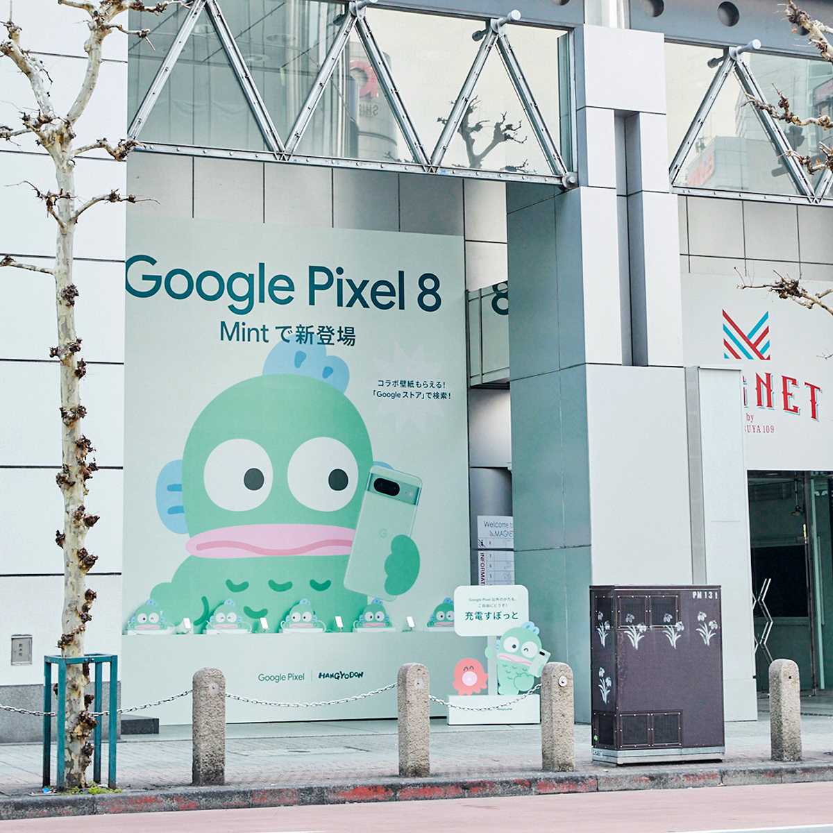 Google Pixel 8 Mint の巨大ハンギョドンポスターを見に来てくださった