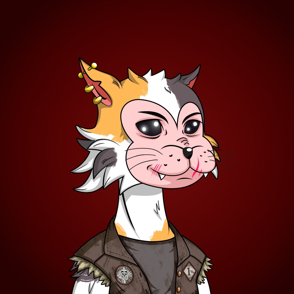 Archie Arch tweet media