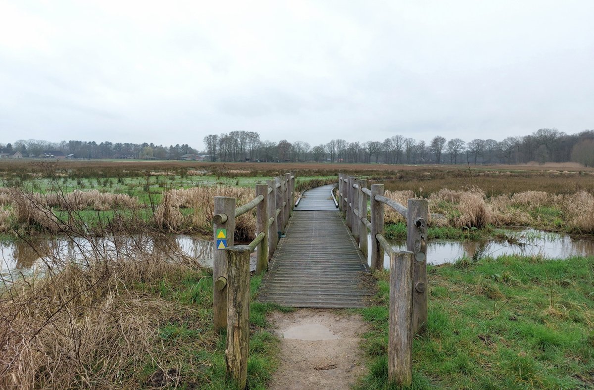 HeijdenJozef's tweet photo. Beekdal de #Raamsloop naast #Landgoed_Wellenseind.
@BoswachterFrans - https://t.co/OzK4mJZ955 https://t.co/ExNBD464wR