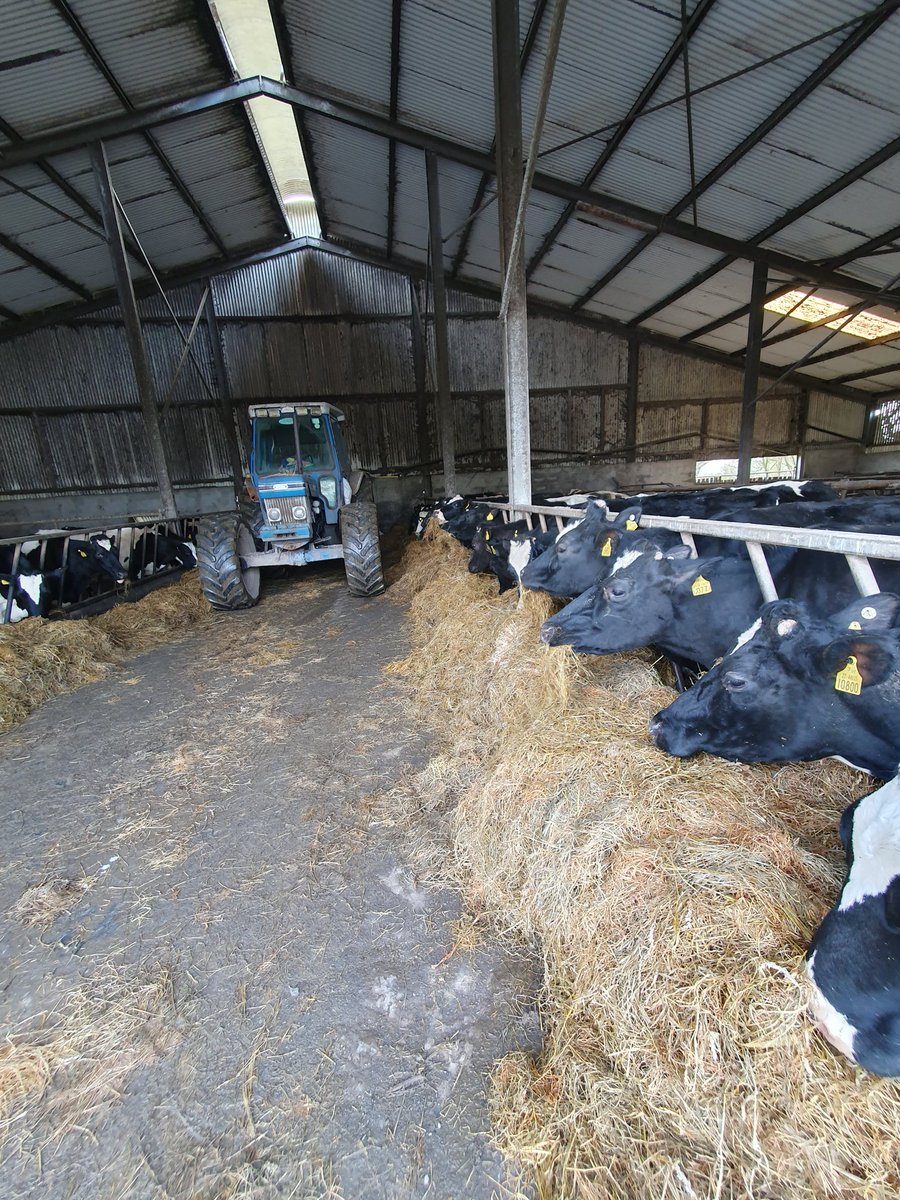2pintpaddy's tweet photo. Cows spent 2 hours out after , very happy with post grazing cover , cows back in on silage.
#GrassToMil2024🐄🇮🇪 #SpringRotationalPlanner #WestCork🇮🇪🐄 https://t.co/mGlTSaZ1k4