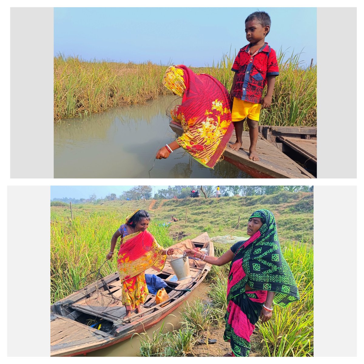 itsBiswajeet's tweet photo. Restoring mangroves and supporting coastal communities in Paradeep, Odisha, India 
 #mangroves provide livelihoods to communities and protect them from natural disasters like storms and cyclones. But they face threats from climate change, pollution &amp; unsustainable development. https://t.co/uNwnBCc7av