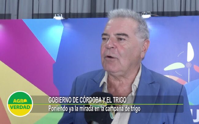 Fiesta Nacional del Trigo🌾

Trigo en Córdoba 2024: el gobierno provincial impulsaría medidas de fomento

➡️ agroverdad.com.ar/2024/02/trigo-…

#AgroTitular #AgroCordoba #agro #campo #Trigo #FiestadelTrigo