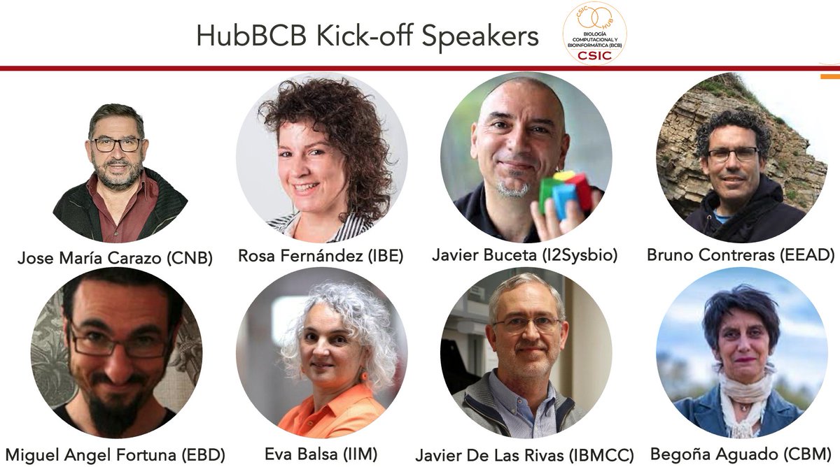 Megaorgullosa de programa de oradores de la reunión de lanzamiento del @BCBHubCSIC mañana 20/2 en @CSICval. Presentarán la investigación computacional del @CSIC en #biomedicina, #sostenibilidad, #ecología, #diseño_fármacos, #biología_de_sistemas, #evolución, y más...