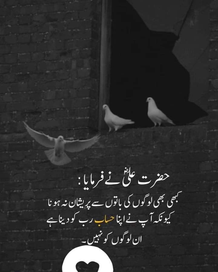 MalikShezz's tweet photo. #True https://t.co/UQuQT1DGT9