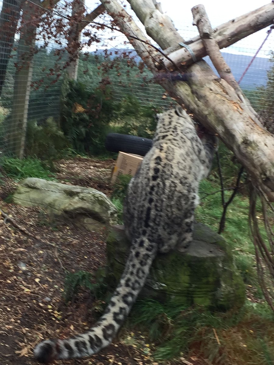 Sometimes the best things are behind you. Look in all directions for inspiration! 
#Mondaymotivation 
#Amwriting
#Writerslife
#Writetip 
#Writingprompt