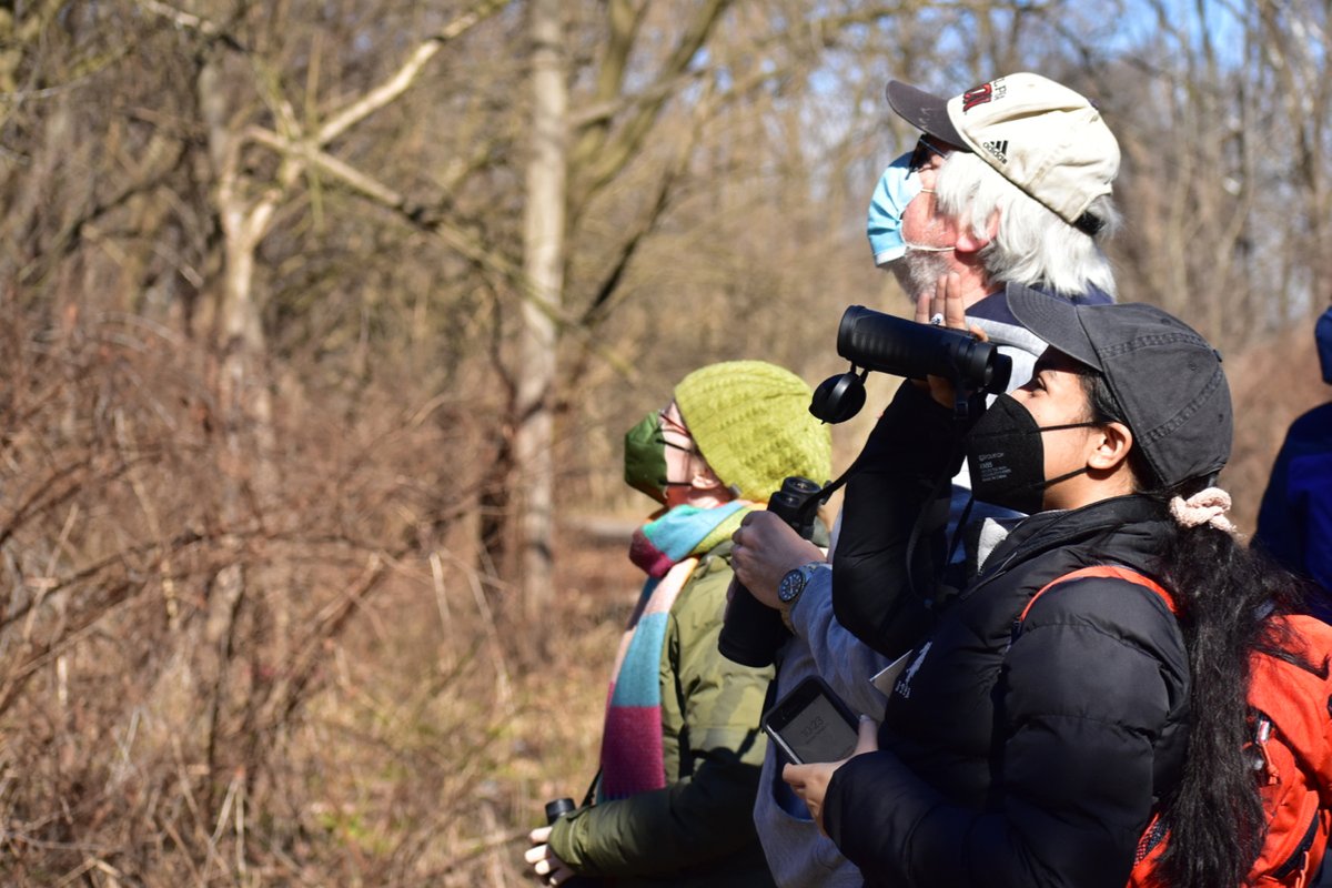 TTFWatershed's tweet photo. Connect to #birds for #GreatBackYardBirdCount, an international #communityscience event to search for #birds in your own backyard over Presidents Weekend, or join TTF &amp; @WyncoteAudubon for our FREE #GBBC #BirdWalk in #TaconyCreekPark TODAY! at 10am: https://t.co/QsMBF68NLY https://t.co/473XLYNFxN