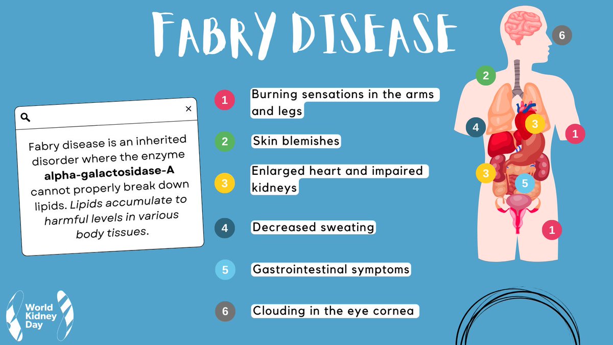 #FabryDisease is a rare inherited disorder that affects fat metabolism. If left untreated, it can lead to #stroke, #HeartDisease, or #KidneyFailure. Fabry Disease is diagnosed via biochemical analysis and #GeneticTesting. #WorldKidneyDay #KidneyHealthforAll