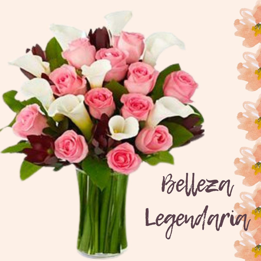 FloresGuru's tweet photo. Existen flores clásicas, tal es el caso de las rosas y los alcatraces, que juntos convierten nuestro arreglo en una belleza legendaria ❤️💫

#Colores #Rosas #Alcatraces https://t.co/1Hpv8t75a4