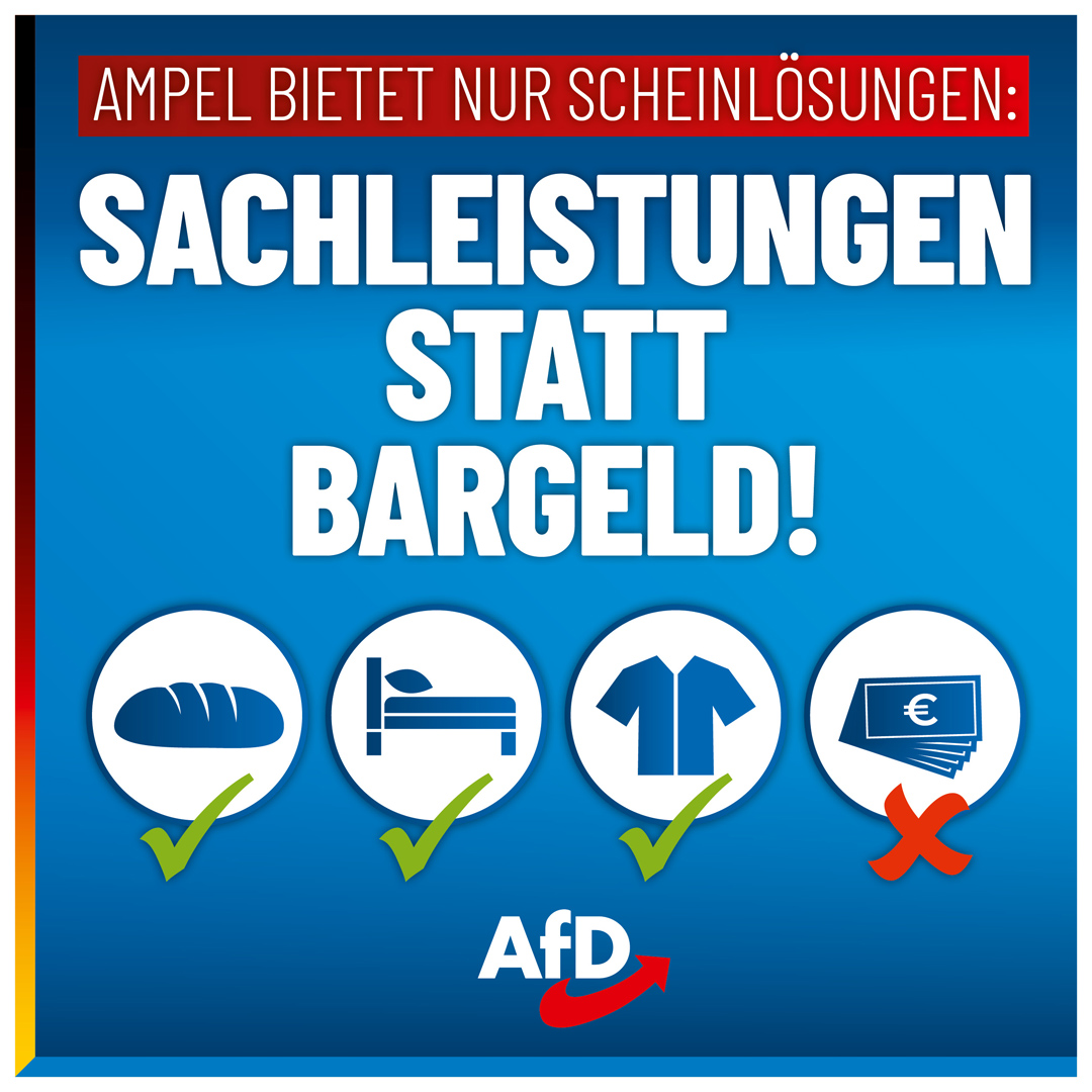 AfD tweet media