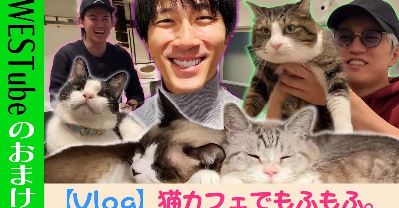 WEareWEST7's tweet photo. #WESTꓸ🌈YouTube!!!!!!!

WEST. 【神ちゃんVlog企画🐱】
猫カフェで“モフモフ”しよ？ 13/100

#WESTube 
#猫カフェ
