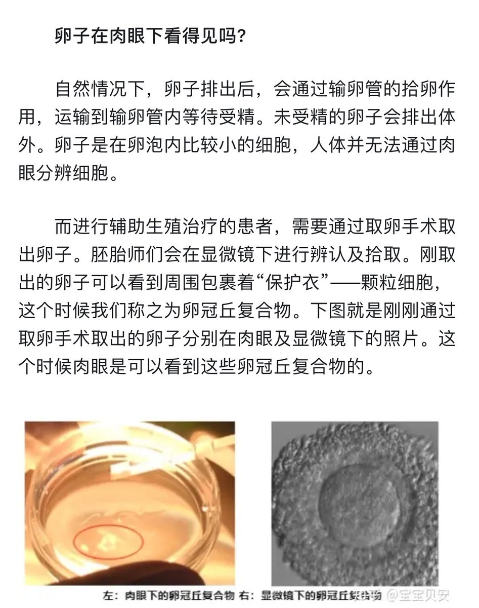 看得见啥啊？我发现没长逼的人永远不相信长逼的人说的话。
卵子没受孕排出来就是几摊血，排三四天血就干净了。真以为是一颗卵夹碎了往外排啊。 https://t.co/t0Tttcd1Bm