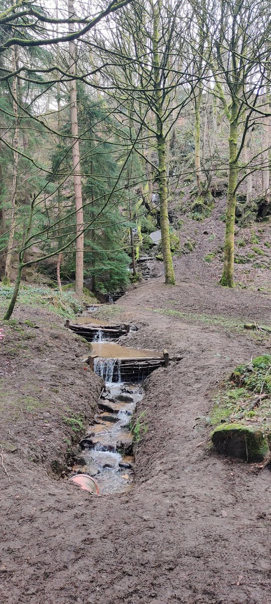 Peaceful Otley Chevin walk this morning. #mondaymindfulness #chevin