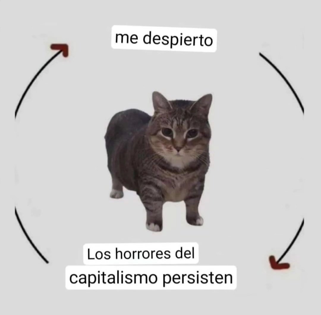 sheetara666's tweet photo. Buenos días https://t.co/sF1tQ8ghpm