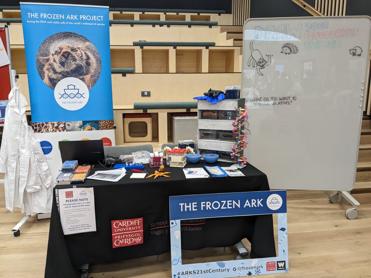 frozenark's tweet photo. Huge thank you to everyone who joined us at the Be a Scientist Festival and to @CdfScienceFest for having us!☺️We loved engaging with everyone who attended🎉
Stay tuned for more projects to come👀 #BeAScientist #cardiffuni #cardiff #frozenark #biobanking #halftermfun #kids https://t.co/2H9eTfg6GD