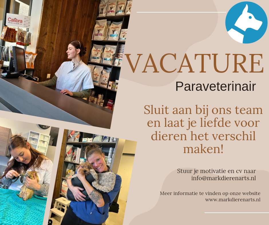 MARKdierenarts tweet media