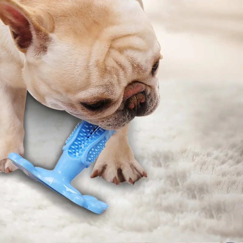 Fun & Functional: The Chewable Toothbrush That Cleans Dog Teeth!
bingopets.shop/chewable-tooth…

#dogtoys #pettoys #chewabletoothbrush #dogdentalcare #dentalchews #chewtoys #doglovers #petcare #oralhealth #doggrooming