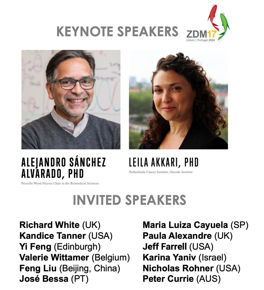 It's my great pleasure to be invited by Dr. Rui Monteiro, my old friend and colleague back in Roger Patient's lab in 2006-2008, to join this ZDM17 meeting in Lisbon this October.  Thank you, Rui and see some of you there!😀😀