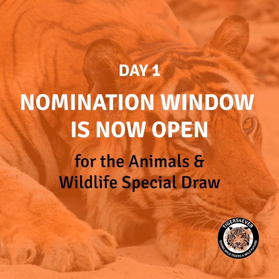 🚨 Today kicks off our campaign with Movement for Good! 🌟 Nominate Tigers4ever as your charity and be a part of the solution for tiger conservation. Together, we can make a lasting impact! 🐾💪 #SaveTheTigers #MovementforGood #Tigers4ever lght.ly/kc2nh9