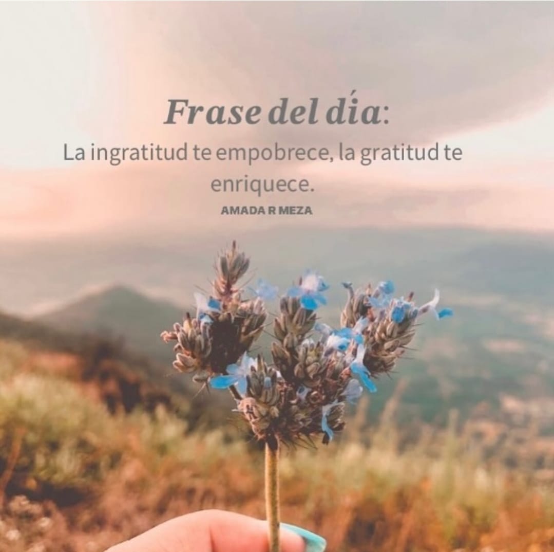 CharlieItcep's tweet image. 