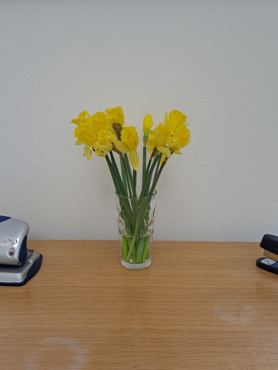 Hello <a href="/waitrose/">Waitrose & Partners</a> just wanted to say thanks for the free flowers this morning from Oliver at the Bressenden Place store in London. They've really brightened  
up my office for me and my team up a grey Monday