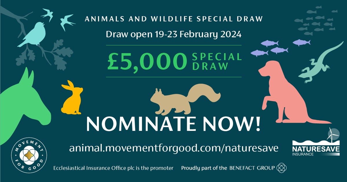 The Benefact Group, is giving £5,000 to 10 animal and wildlife charities each in this limited-time special draw💚

You have from 19th - 23rd February to nominate your chosen good cause for a chance at receiving £5,000!

Nominate now! movementforgood.com/lloydwhyte