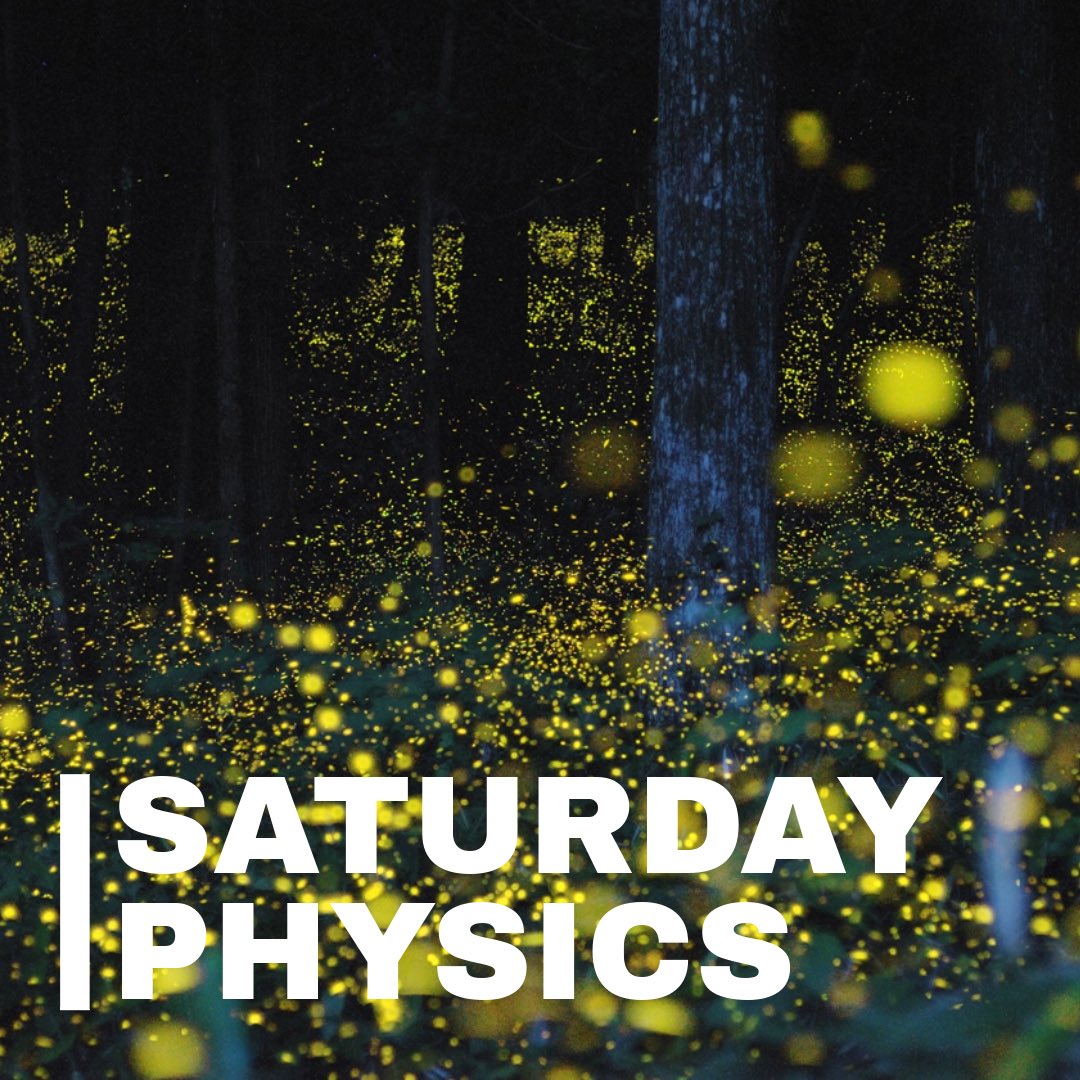 Join us for our next Saturday Physics talk this Saturday, Feb 24 at 2:30pm! Professor Orit Peleg @oritpeleg will take us on a journey into the secret life of fireflies and bees and how they communicate 🐝 Talks are free and open to the public! calendar.colorado.edu/event/saturday…