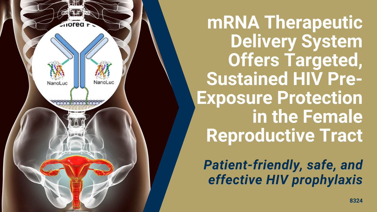 GaTechOTL's tweet photo. #AvailableForLicense: This broadly neutralizing #antibodydeliverysystem targets the female reproductive tract for prolonged #HIVprophylaxis using #mRNA with an anchoring mechanism enabling persistence in the epithelium. #HIVprotection #HIV
@CoulterBME
https://t.co/ef29PYw6nC https://t.co/RzikZ1GNBO