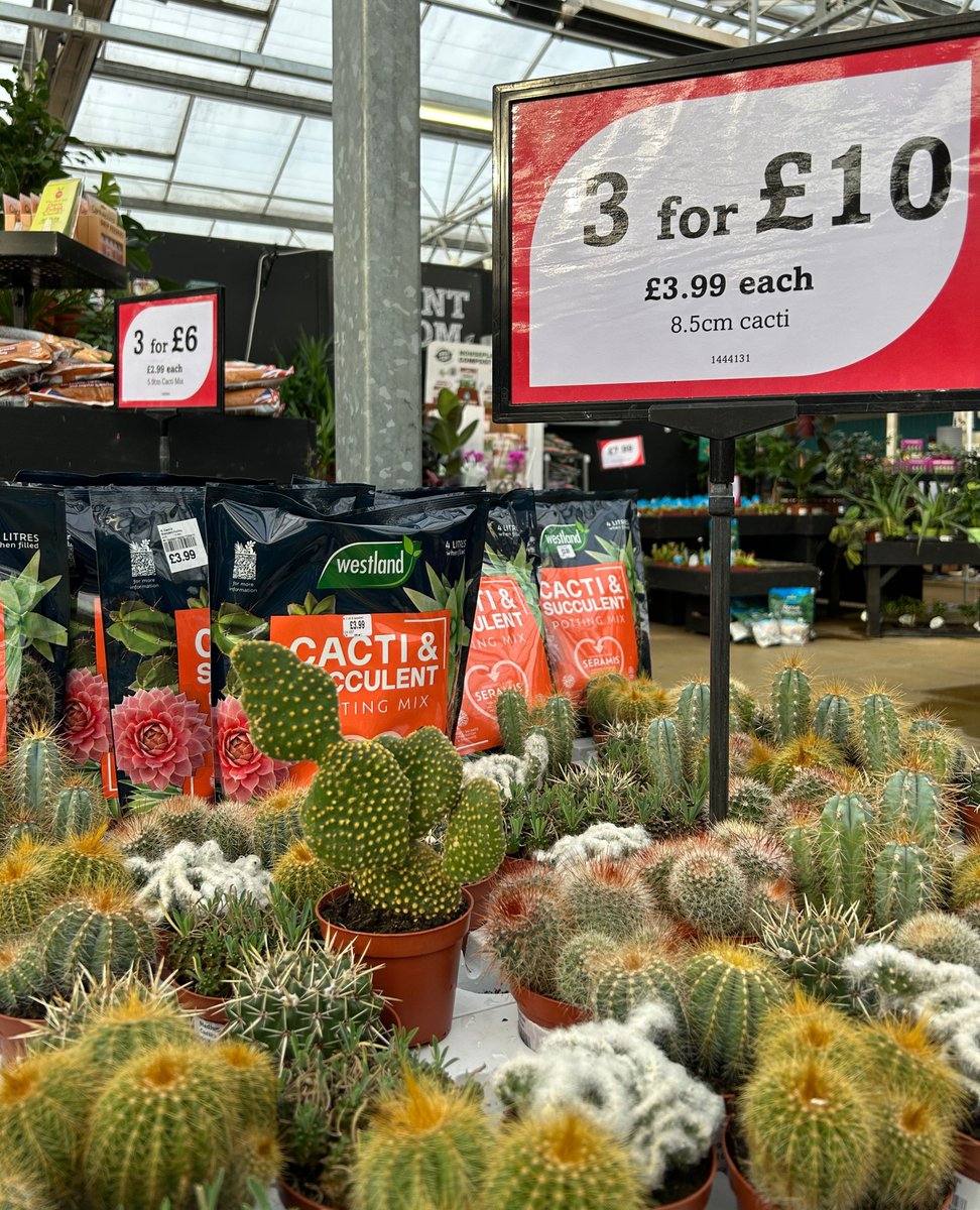 Cherry Lane Garden Centres tweet media