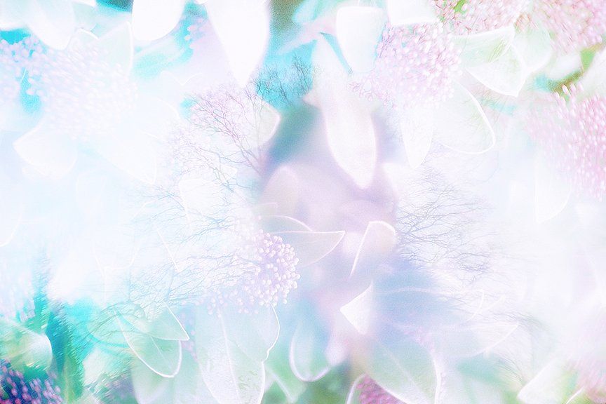 lomography's tweet photo. Maria Louceiro is back on our magazine to share her oneiric photos captured while testing our #Petzval80.5 f/1.9 MKII Bokeh Control Art Lens. See more on #Lomography: https://t.co/DuTYPHo55n https://t.co/2y4pgov5YL