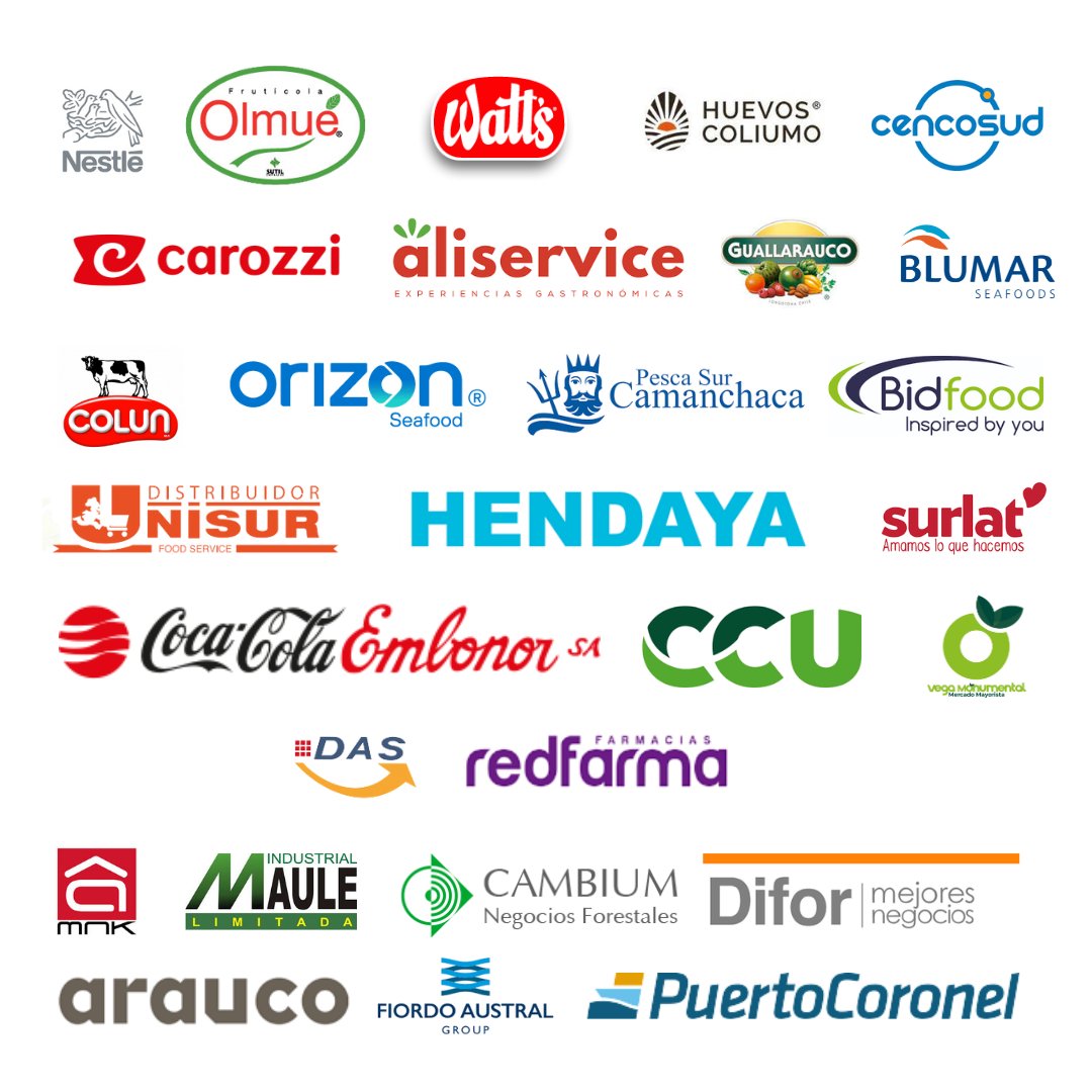 Banco de Alimentos Biobío Solidario tweet media