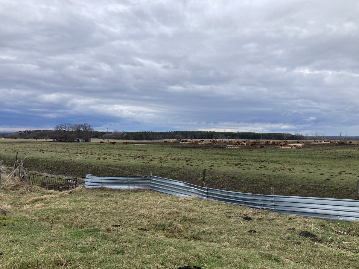 JanCingel's tweet photo. We at @StratAnalysisSK take field research really seriously. And there are times when research takes you to fields… quite literally. 1st day of the visit of #Georgia 🇬🇪 ABL communities’ small entrepreneurs and farmers in #Slovakia🇸🇰 #ODAmatters #greenFarming #BioFarming https://t.co/qi012mwCn3