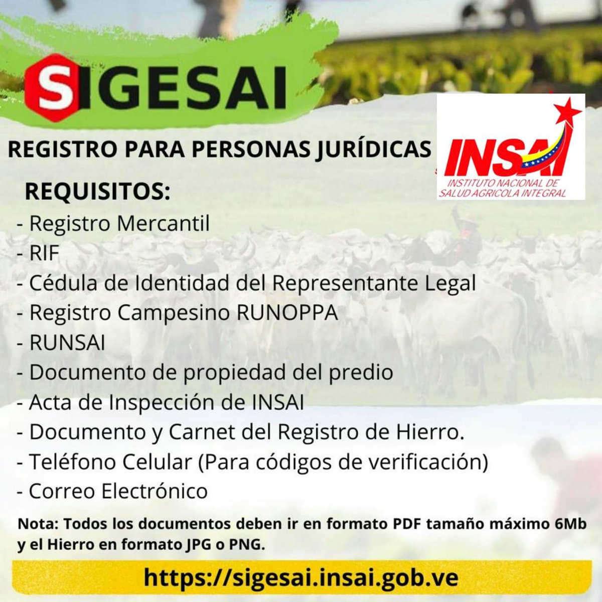 Insai Cojedes (@insaicojedes) on Twitter photo 