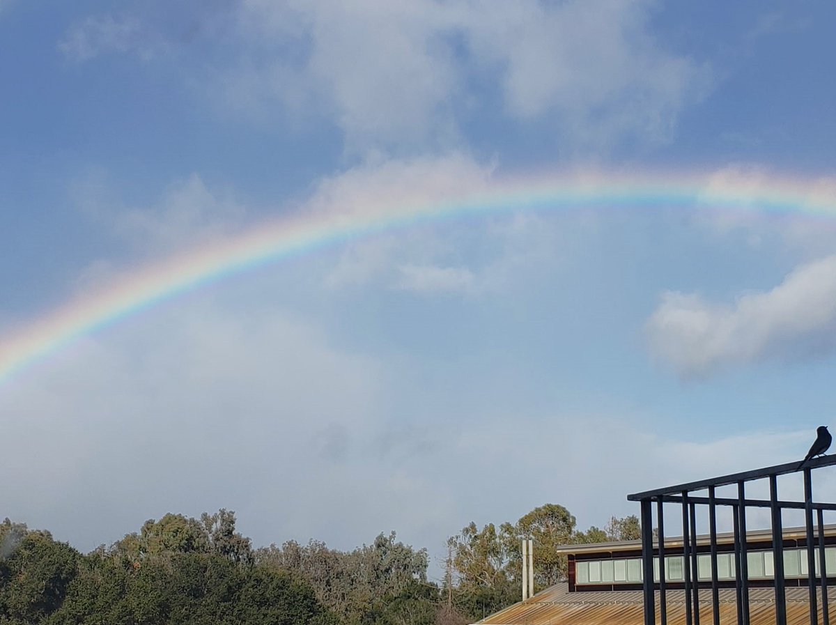 BhayaDevaki's tweet photo. A little birdie told me its rainbow season at Stanford and Carnegie..where is the pot of gold? #Stanford #carnegiescience https://t.co/6qizotlWXx
