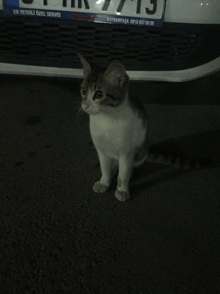 Bu sefer unutulmasına da üstünün kapatılmasına da izin vermeyeceğiz . Çünkü bıktık ,çünkü yıldık artık yeter ! Onları koruyacak ömürlük yasayı istiyoruz üst sınırdan ceza istiyoruz ! Caydırıcı olan cezalar istiyoruz . #ibrahimkeloğlantutuklansın Can güvenliği istiyoruz !