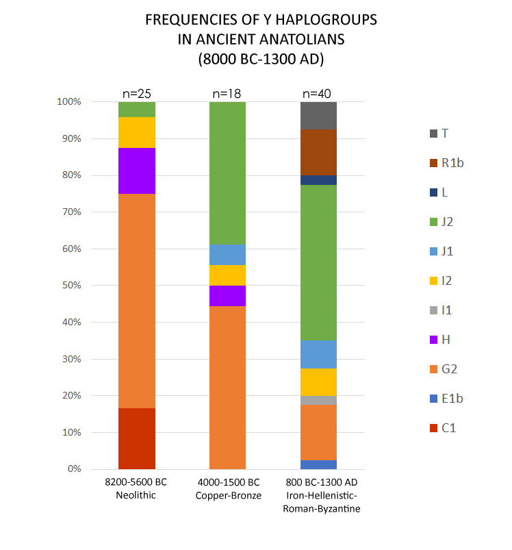 Turkish DNA Project tweet media