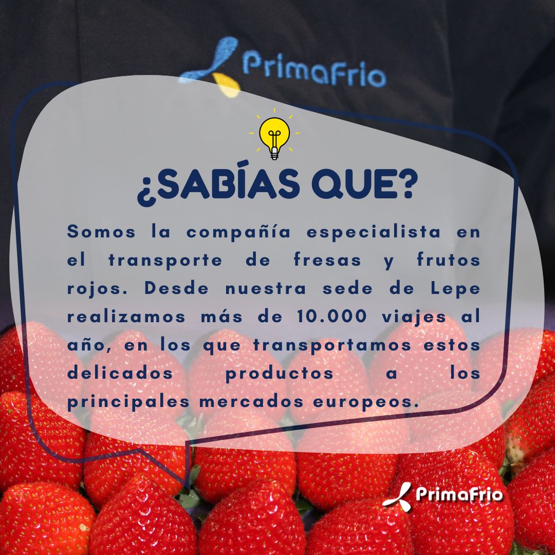 En Primafrio afrontamos la campaña anual de exportación frutos rojos desde nuestro compromiso con la calidad y la excelencia. En ella, transportamos los productos a los principales mercados europeos, como Alemania, Inglaterra, Suiza Croacia, Rumanía, Italia, Portugal o Polonia.