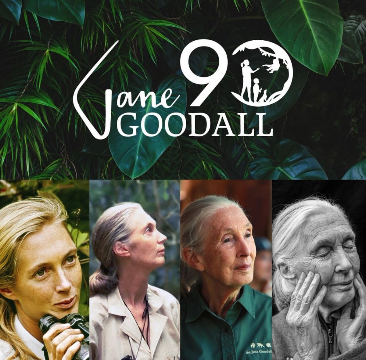 C’est parti pour une année de célébrations!
Jane Goodall fêtera cette année son 90ème anniversaire.. @JaneGoodallFr 
Suite ... facebook.com/photo?fbid=789…

#janegoodall  #heroesofbiodiversity #Jane90years #janegoodall90 #engagement #chaquegestecompte #JGIFrance #biodiversité