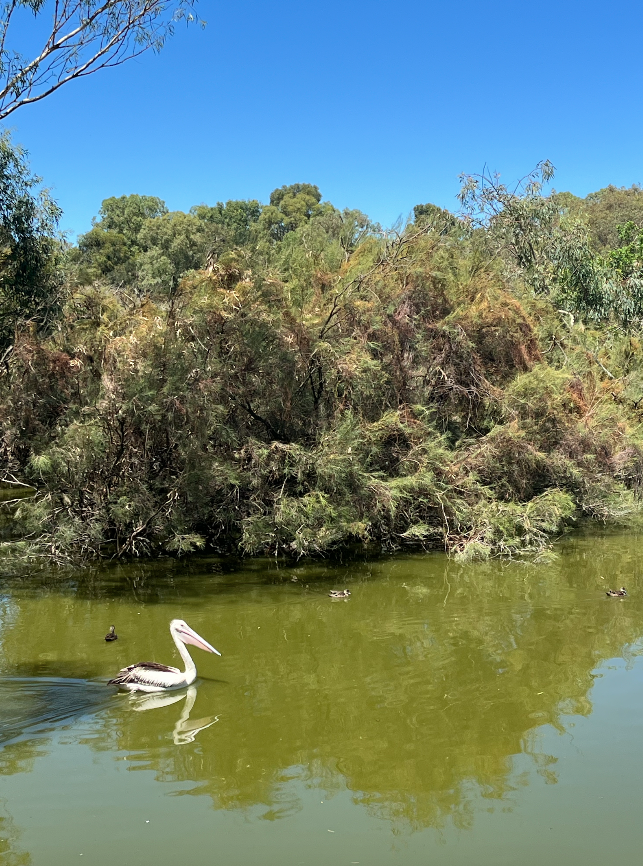 Lydia Melvin ✨ tweet media