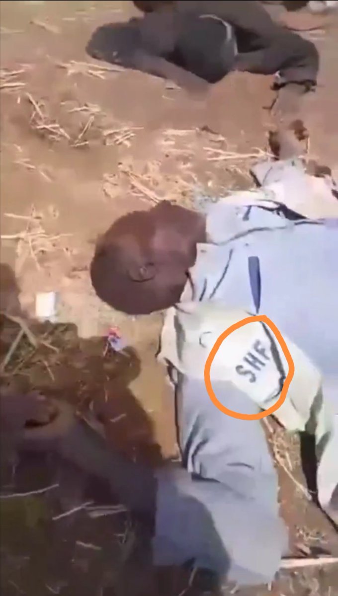 الدعم السريع يرتكب مجزرة بشعة في الدلنج !!!

الفيديو ظاهر فيه عشرات الجثث على الأرض، مع ضربهم و هم أموات و نعرات عنصرية تجاه شمس الدين الكباشي و مبارك اردول لانهم من نفس القبيلة، بحسب الأنباء عدد القتلى وصل 61 قتيل، بعضهم يرتدون ملابس الأمم المتحدة .

#جرائم_الدعم_السريع