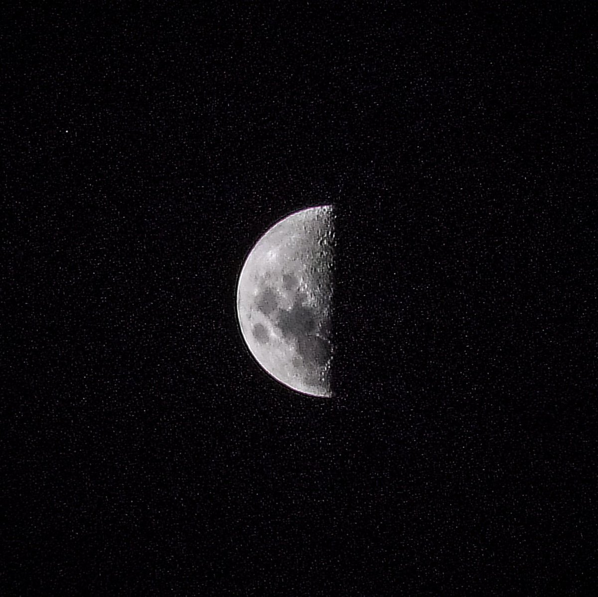 SyedShaheeer's tweet photo. Half moon vibes &amp; starry nights ✨ 🌗
#quote #quotes #moon #moonphotography #moonlight #moonwatch #moonphoto #moonknight #moonlovers #nature #night #naturephotography #nightscape #nightsky #viral #caption #canonphotography #nikkonphotography #karachi #halfmoon #photography https://t.co/GGBbyMhAev