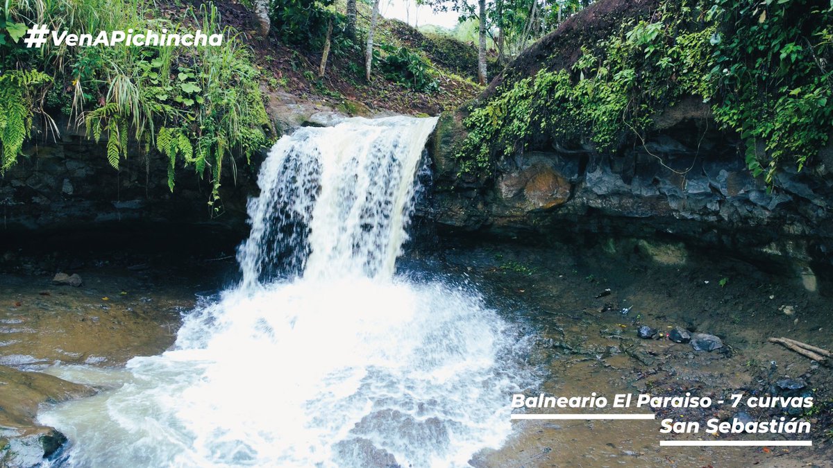 GADPichincha's tweet photo. ¡Pichincha deslumbra con la belleza de sus balnearios y su gente amable!

Visita la cascada El Paraíso - 7 curvas
ubicado en la parroquia #SanSebastián sector Piedra Fina 2 https://t.co/R8te78UF5e
