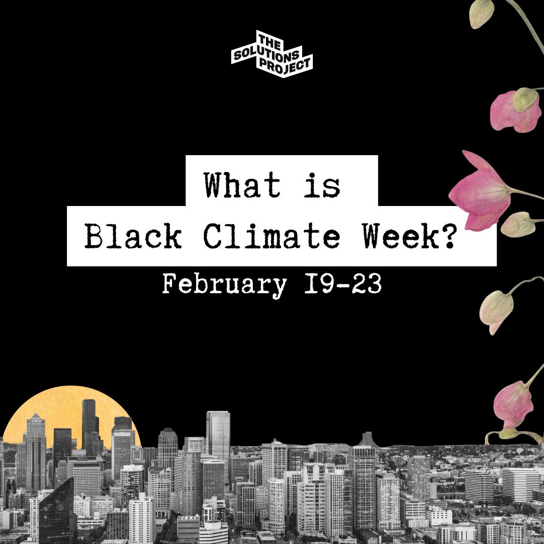 littlemanila's tweet photo. Today is the first day of #BlackClimateWeek! Head over to
@solutions.project to see how The Solutions Project's grantee
partners are revolutionizing what's possible in disrupting the status
quo and ushering in a #JustTransition. https://t.co/Yj85f8lkDY