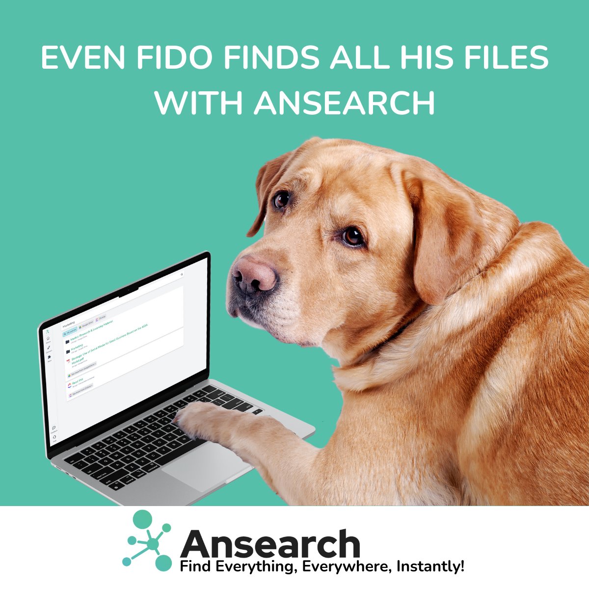 GetAnsearch's tweet image. Even Fido finds all his files with @GetAnsearch! 🐾🚀 Explore organised and efficient workflows – Ansearch, making everyone a pro!🎓 Try it for FREE today, find out more at ansearch.net/?utm_source=tw… #Ansearch #KnowledgeManagementTools