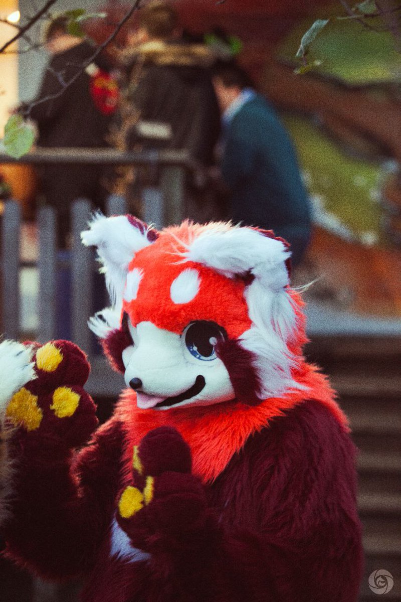 Lesserkuma tweet media