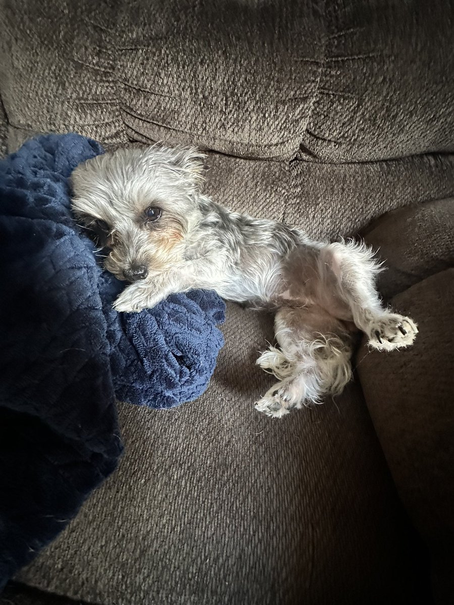 mits 🎊 tweet media